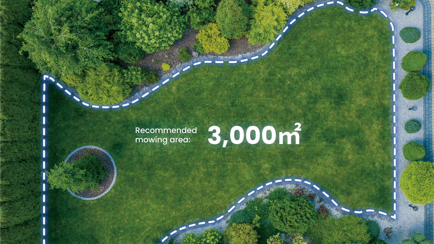 Robot Mower or Stand-On vs Lawn Care Service?